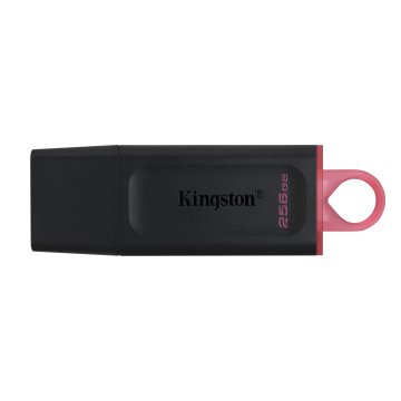 Memoria Usb 256gb Kingston Dtx 256 Usb3.2
