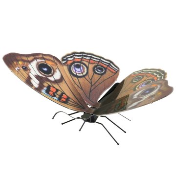 Maqueta 3d Metal Fascinations Mariposa Buckeye Montaje...