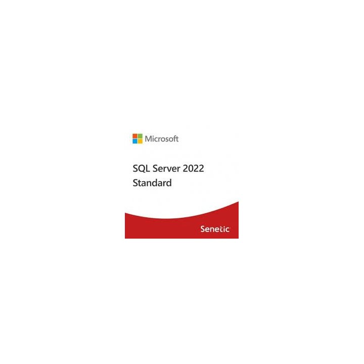 Microsoft Sql Server 2022 Standard Edition **l. Electronica