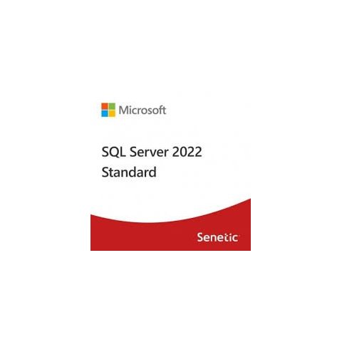 Microsoft Sql Server 2022 Standard Edition **l. Electronica