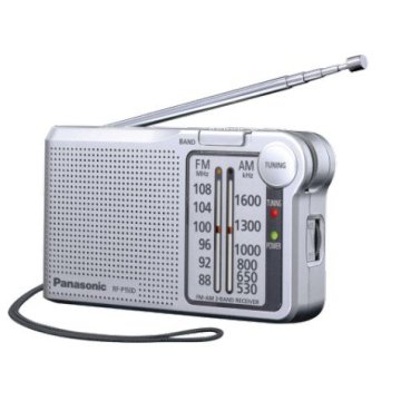 Radio Analogica Con Altavoz Panasonic Rf-p150deg-s Am fm Sintonizador Analogico Color Plata